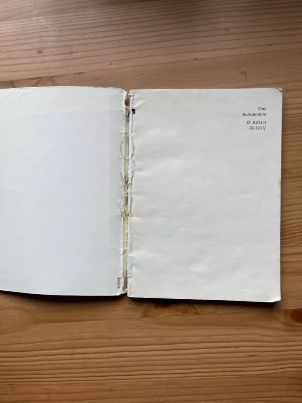 Iš kelio dulkių - Onė Baliukonytė, knyga 3