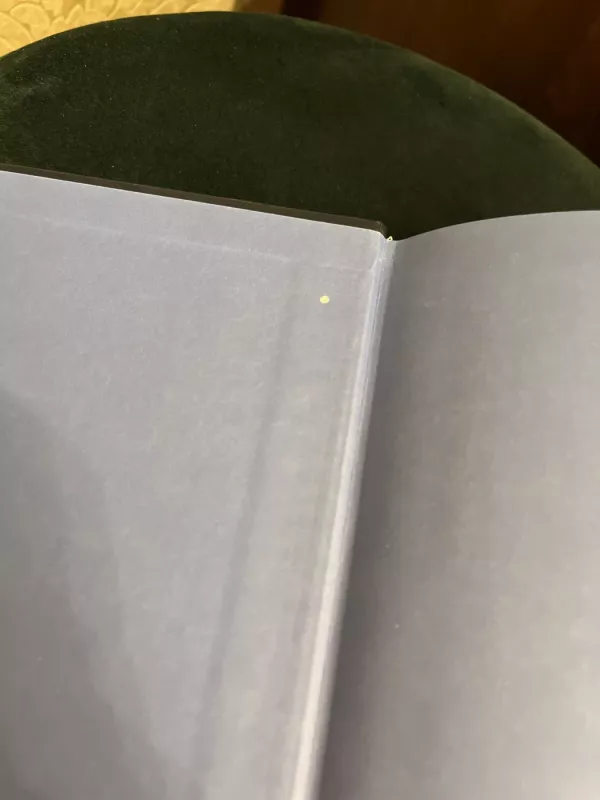 Pažymėtoji - P. C. Cast, Kristin  Cast, knyga 4