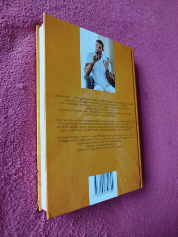 Logikos galia - Martynas Driukas (Trimurti), knyga 6