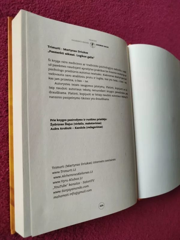 Logikos galia - Martynas Driukas (Trimurti), knyga 5