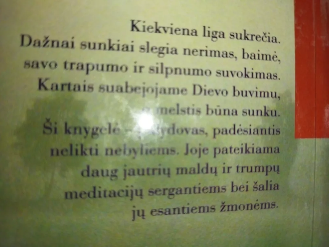 Tu mano vargus pažįsti. KAIP MELSTIS SERGANT - Rainhard Abeln, Anton  Kner, knyga 4