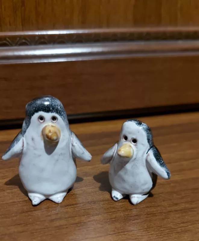 Du pingvinai - , namai ir interjeras 4