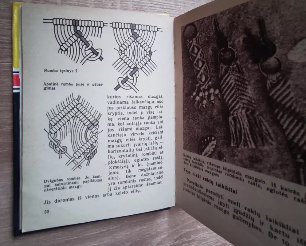 Pinikai - Bonny Šmid-Burleson, knyga 5