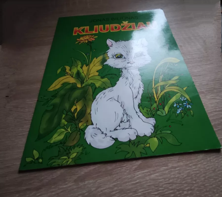 Kliudžiau - Jonas Biliūnas, knyga 4