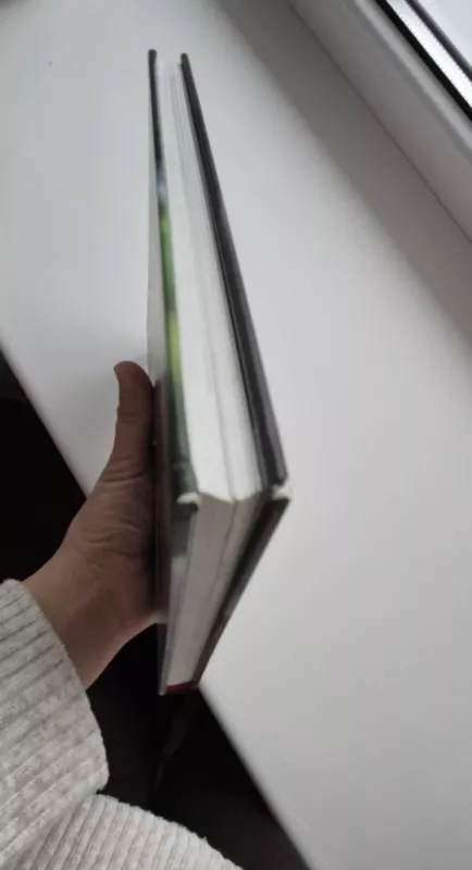 Ką jaučia ir mąsto žirgai - Marlitt Wendt, knyga 3