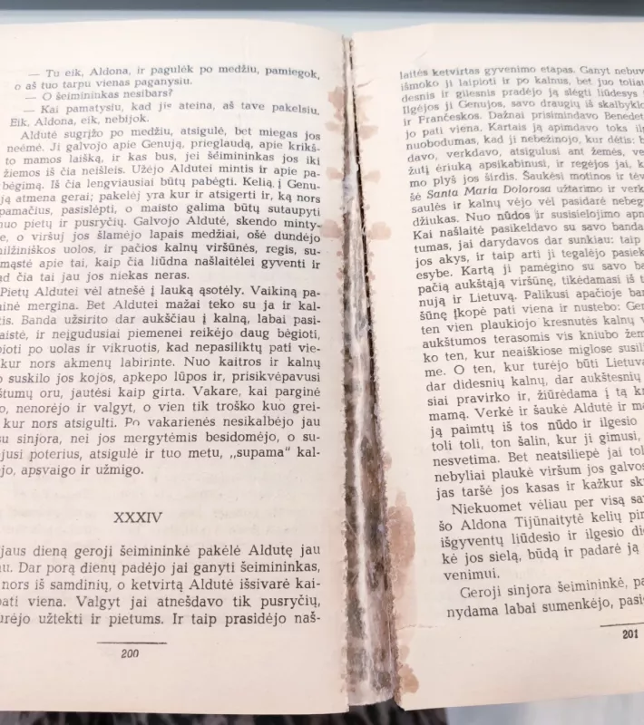 Viešnia iš šiaurės - Antanas Vienuolis, knyga 3