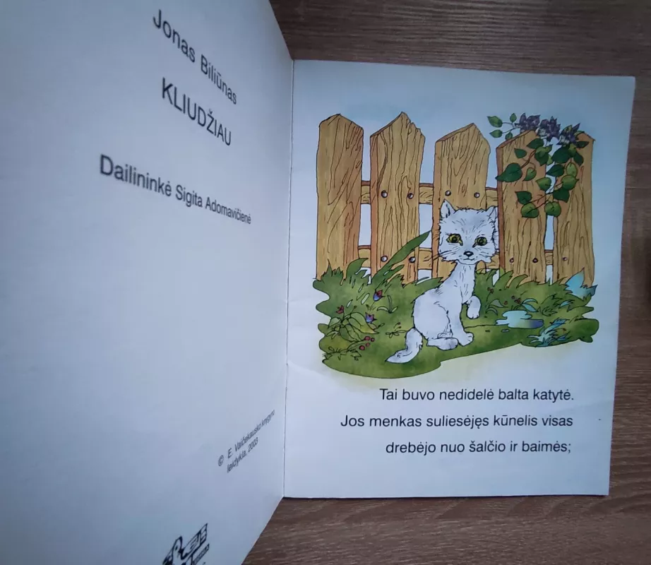 Kliudžiau - Jonas Biliūnas, knyga 3