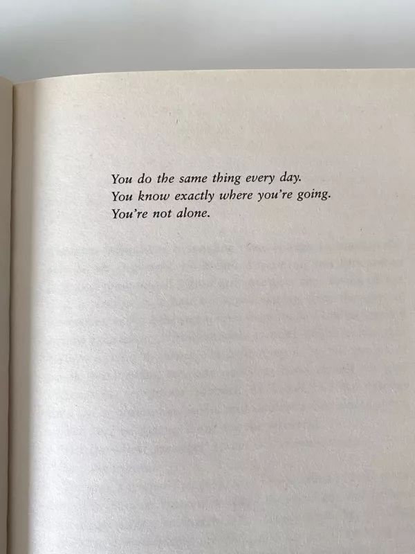 I see you - Clare Clare Mackintosh, knyga 6