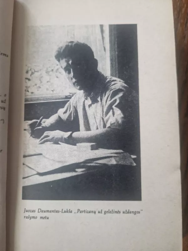 Partizanai - Juozas Daumantas, knyga 5