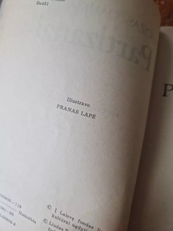 Partizanai - Juozas Daumantas, knyga 4