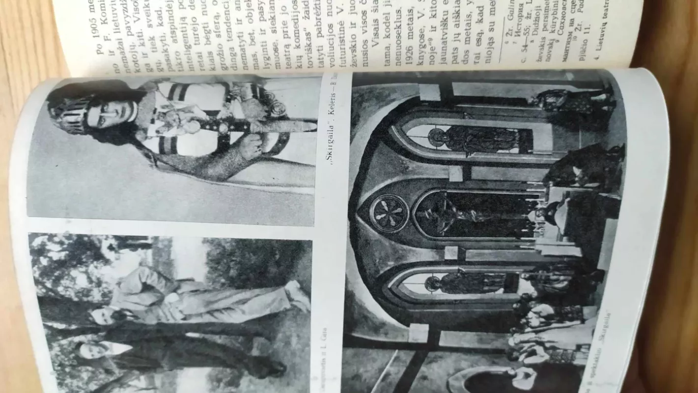 Lietuvių teatras 1918-1929 - Autorių Kolektyvas, knyga 4