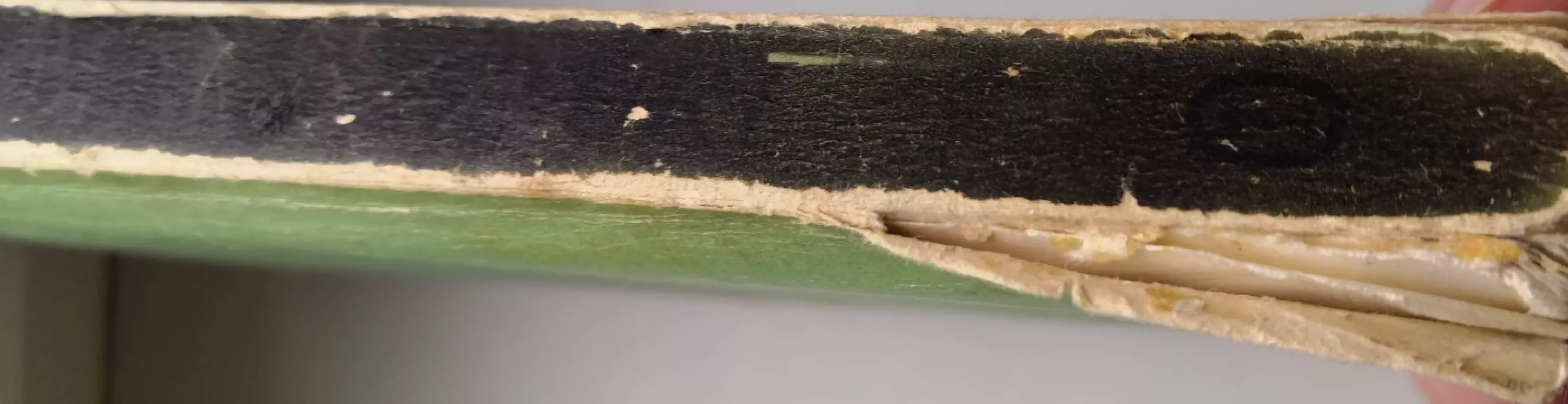 RESURRECTURI - Jozef Ignacy Kraszewski, knyga 4