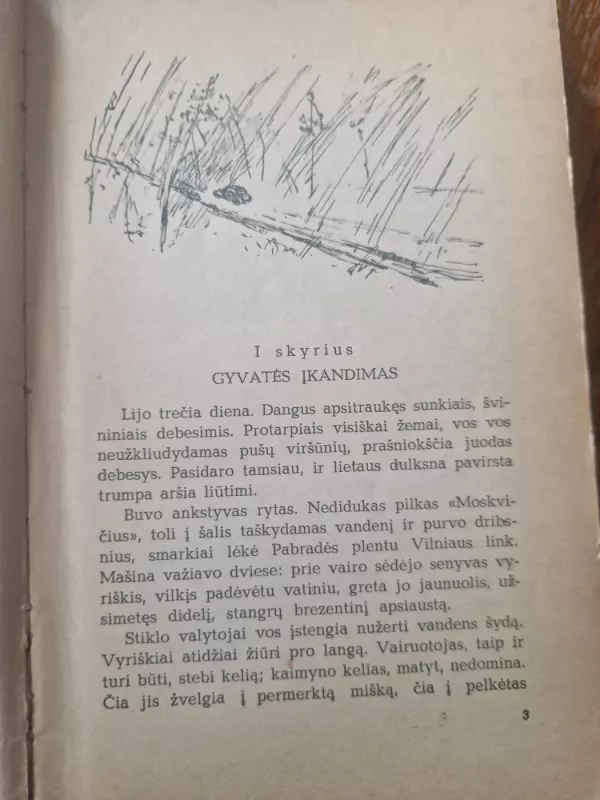 Šiltoji Baltija - I. Adabaševas, knyga 5