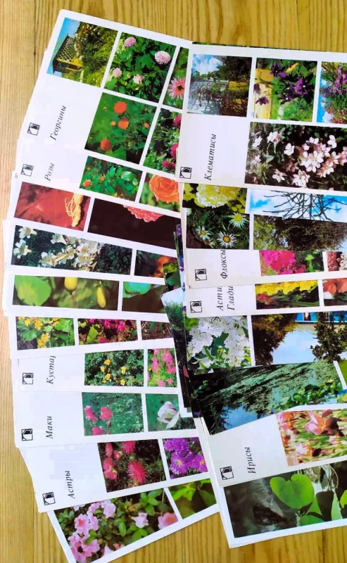 Vaš priusadebny učastok. - Autrorių kolektyvas, knyga 2