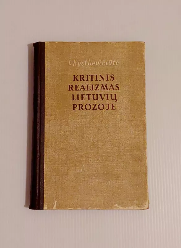 Kritinis realizmas lietuvių prozoje XIX a. pabaigoje XX a. pradžioje - Irena Kostkevičiūtė, knyga 2