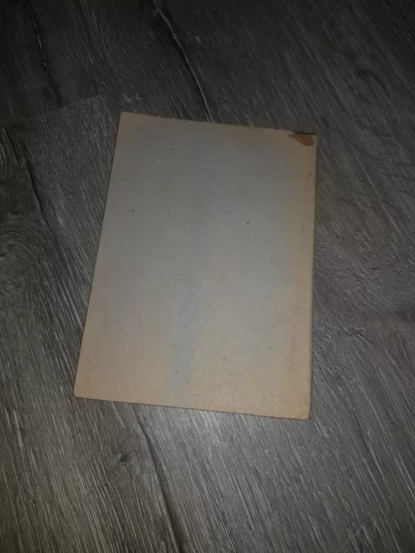 Pradinis dainynas - Motiejus Budriūnas, knyga 4