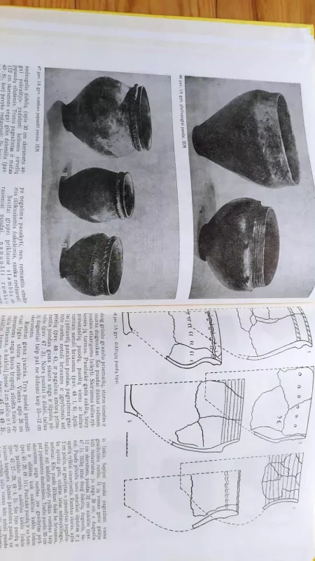 Šventoji. Pamarių kultūros gyvenvietės - Rima Rimantienė, knyga 6