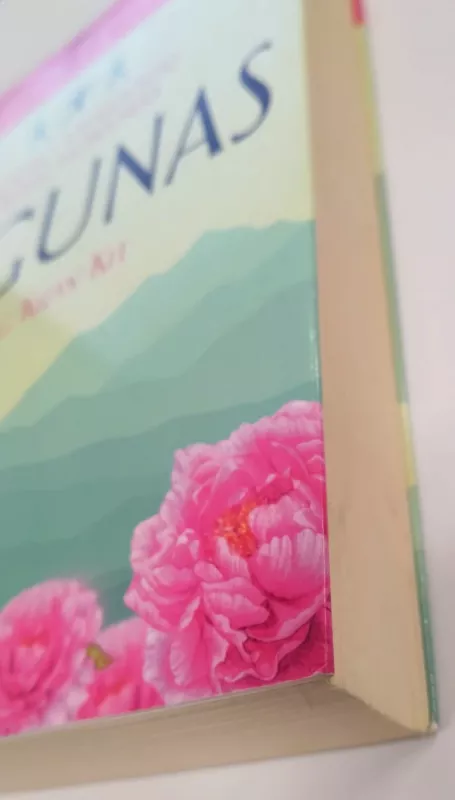 CIGUNAS. ŠAOLINO VIENUOLIŲ SLAPTAS MOKYMAS - Wong Kiew Kit, knyga 3