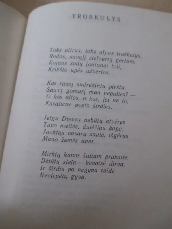 Pasilikau tik dangų mėlyną - Leonardas Andriekus, knyga 4