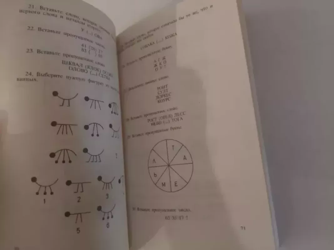 Aizenko intelekto testas - H. J. Aizenk, knyga 3