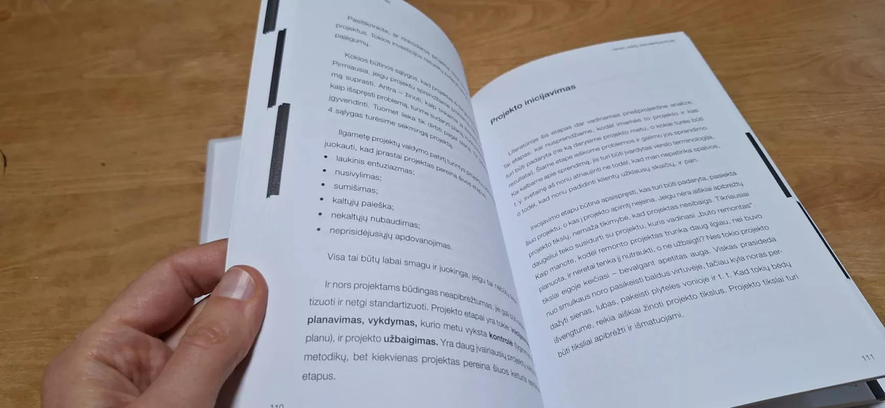 Nuo amato prie verslo - Nerius Jasinavičius, knyga 4