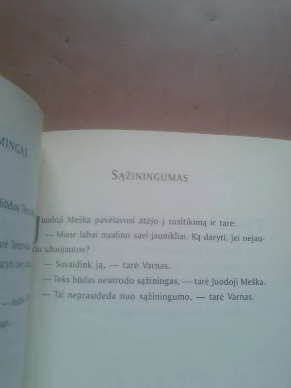 Zen mokytojas varnas - Robert Aitken, knyga 5