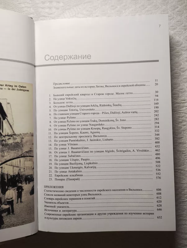 Vilnius. Lietuvos Jeruzalės pėdsakais - Irina Guzenberg, Genrich Agranovskij, knyga