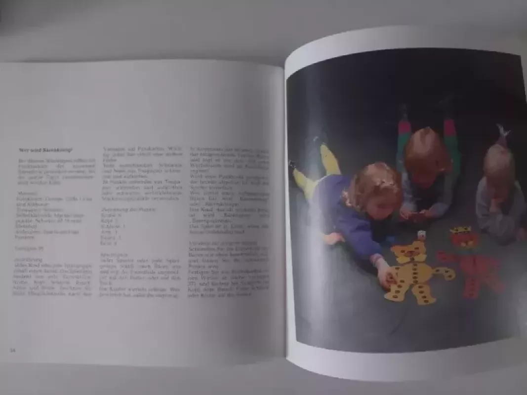 Šventės meškų tematika - Ursula Ritter, knyga 5