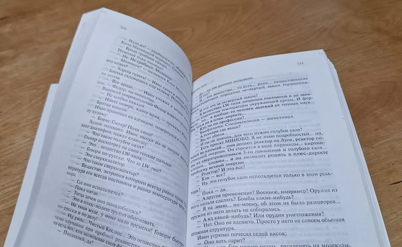 Goluboe salo - Vladimir Sorokin, knyga 4