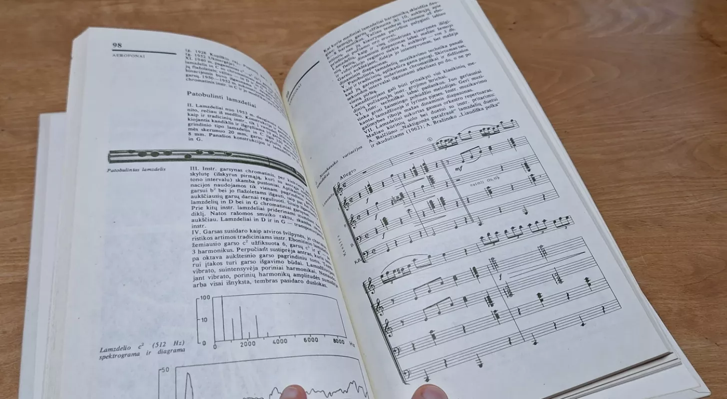 Lietuvių liaudies muzikos instrumentai - Marija Baltrėnienė, knyga 6