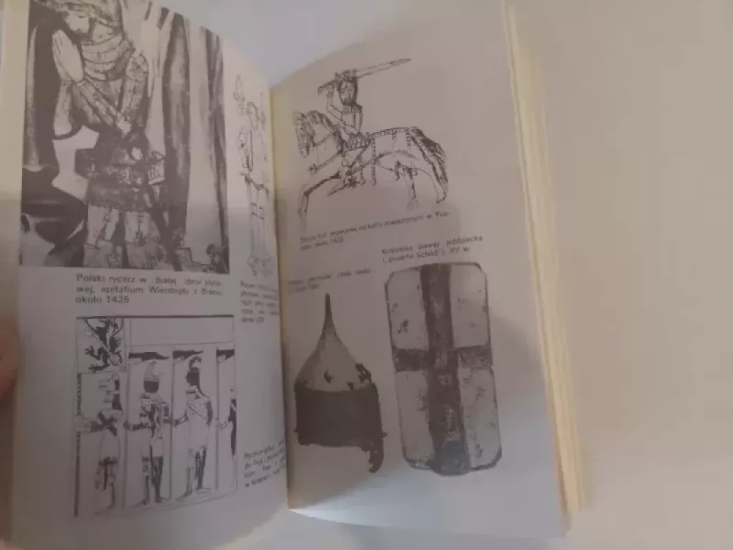 Grunwald 1410 - Andrzej Nadolski, knyga 5