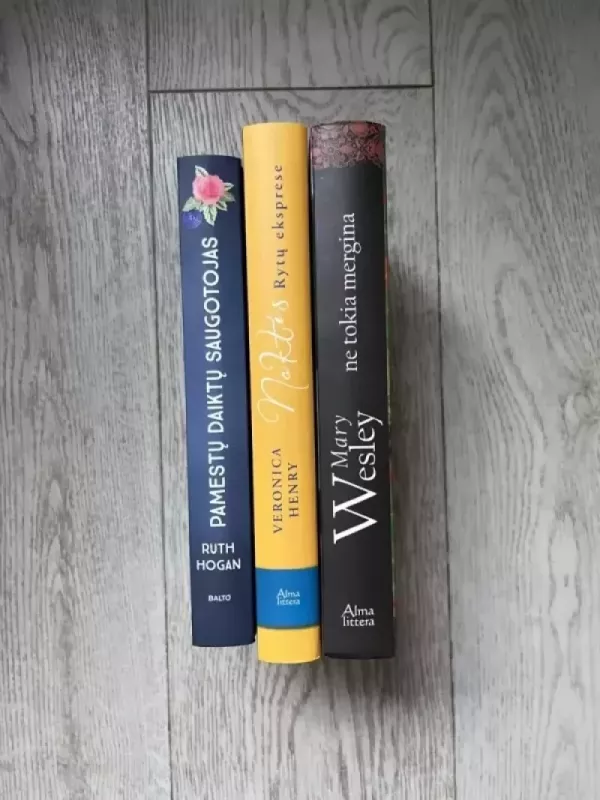 Pamestų daiktų saugotojas - Ruth Hogan, knyga 3