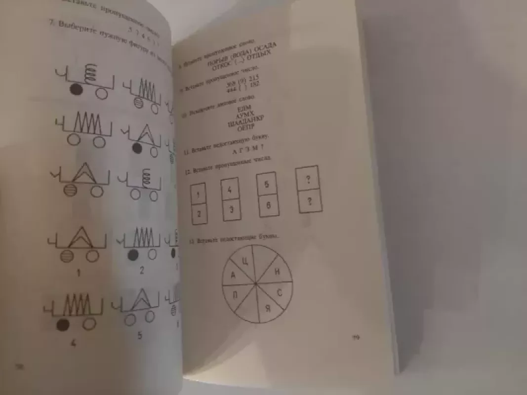 Aizenko intelekto testas - H. J. Aizenk, knyga 4