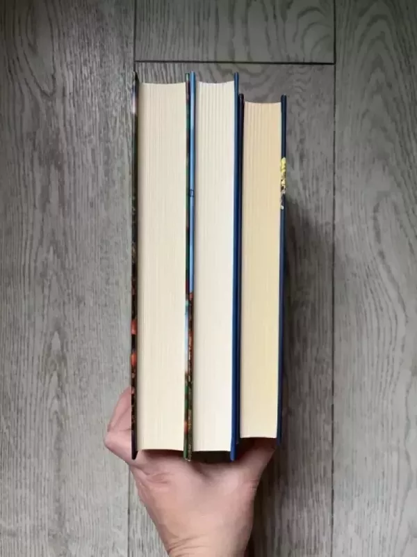 Pamestų daiktų saugotojas - Ruth Hogan, knyga 4