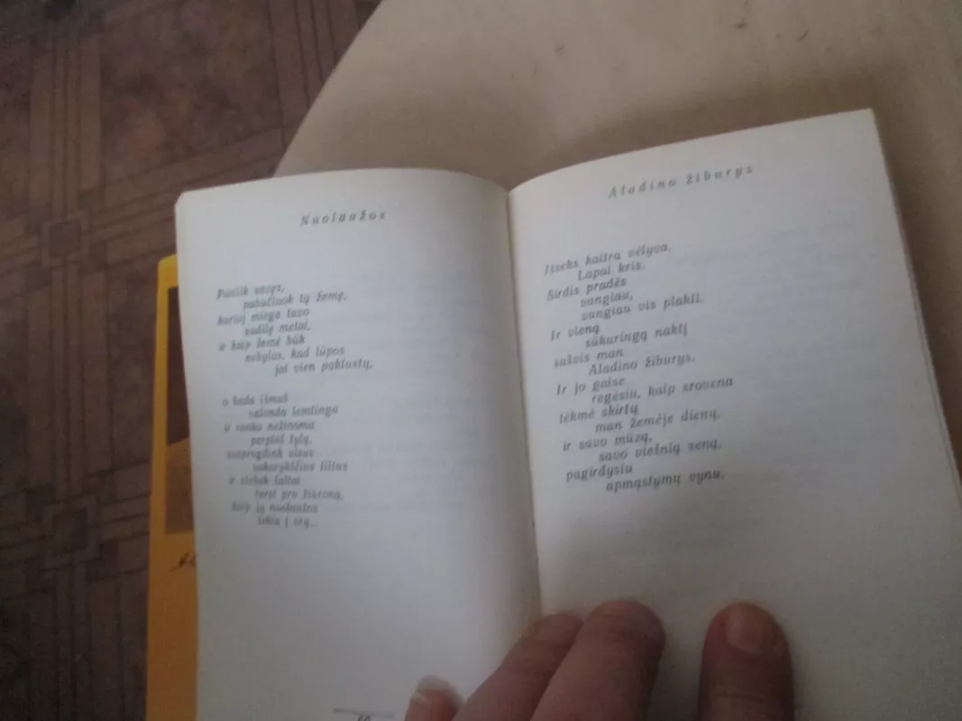 Verdenė - Aleksys Churginas, knyga 5