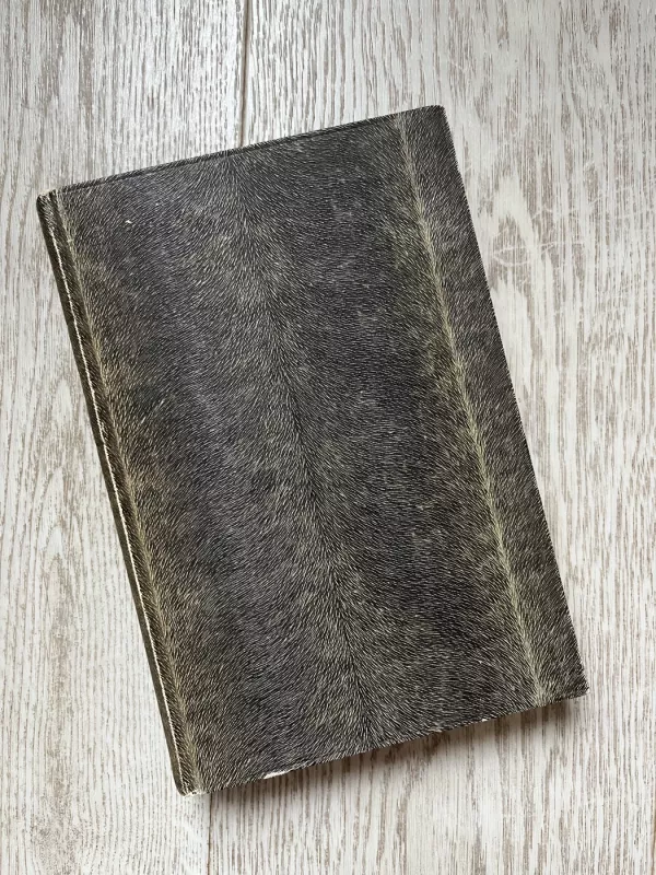 Homero Odisseja - Autorių Kolektyvas, knyga 3