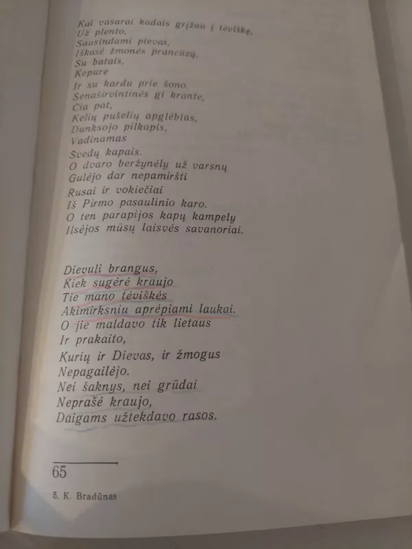 Duona ir druska - Kazys Bradūnas, knyga 3