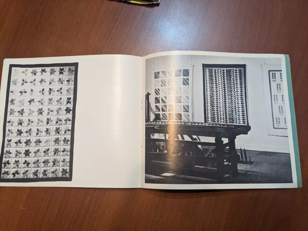 Sovremennaja loskutnaja stežka - Linda Shepper, knyga 6