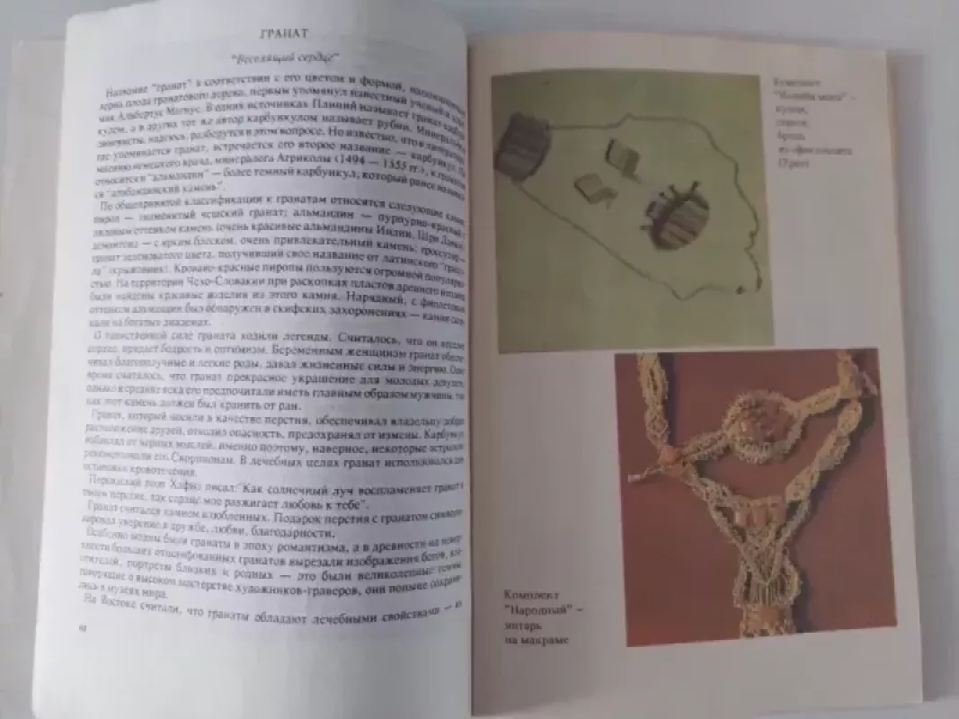 Brangakmenių gydomosios savybės - E. I. Gonikman, knyga 5