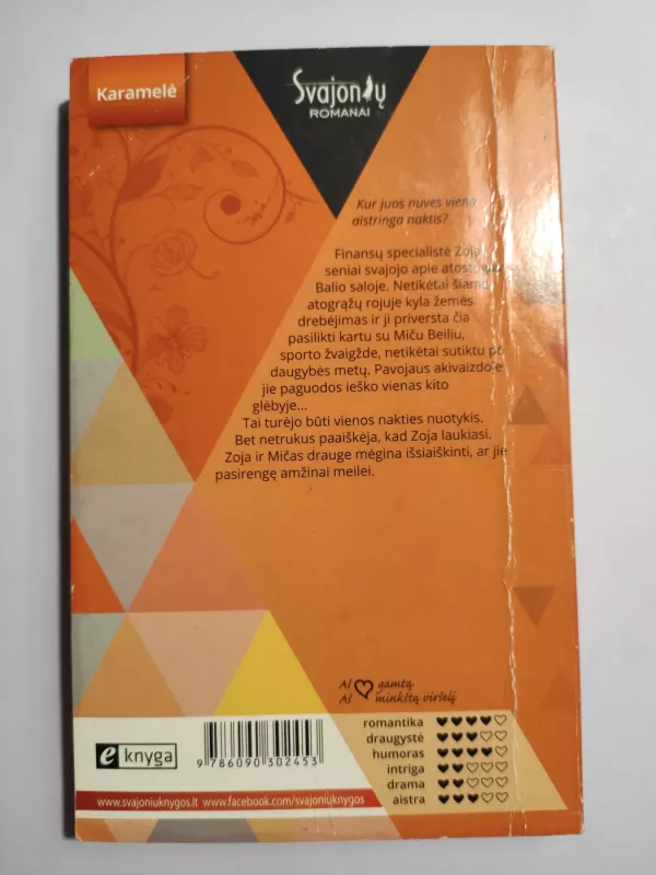 Iš rojaus į… realybę - Kandy Shepherd, knyga 3