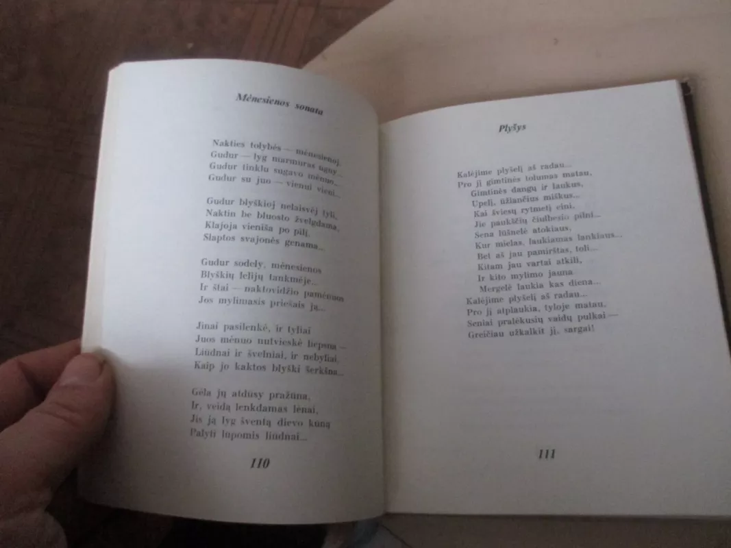 Žemės laiptai. Kalnų takas - Jurgis Baltrušaitis, knyga 6