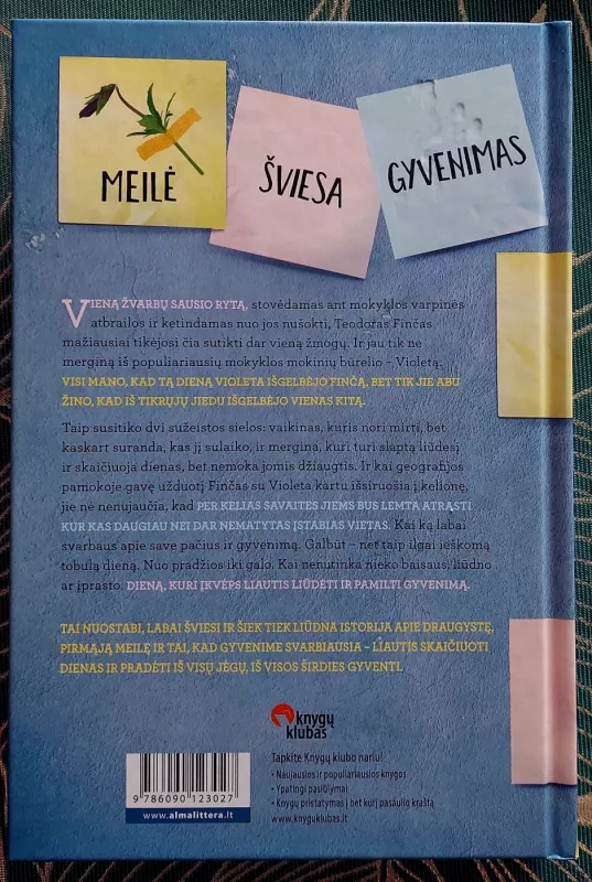 Papasakok man apie tobulą dieną - Jennifer Niven, knyga 3