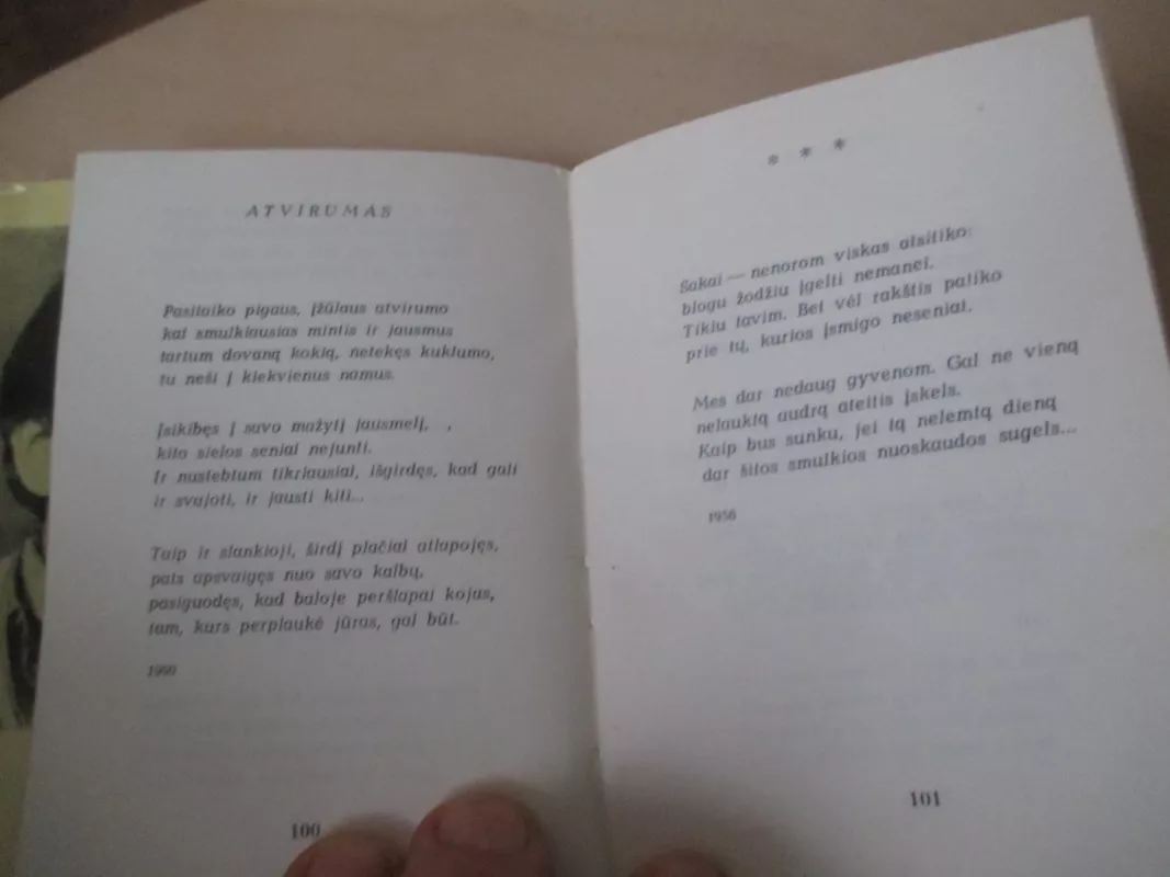 Dienų pašvaistės - Vincas Giedra, knyga 6