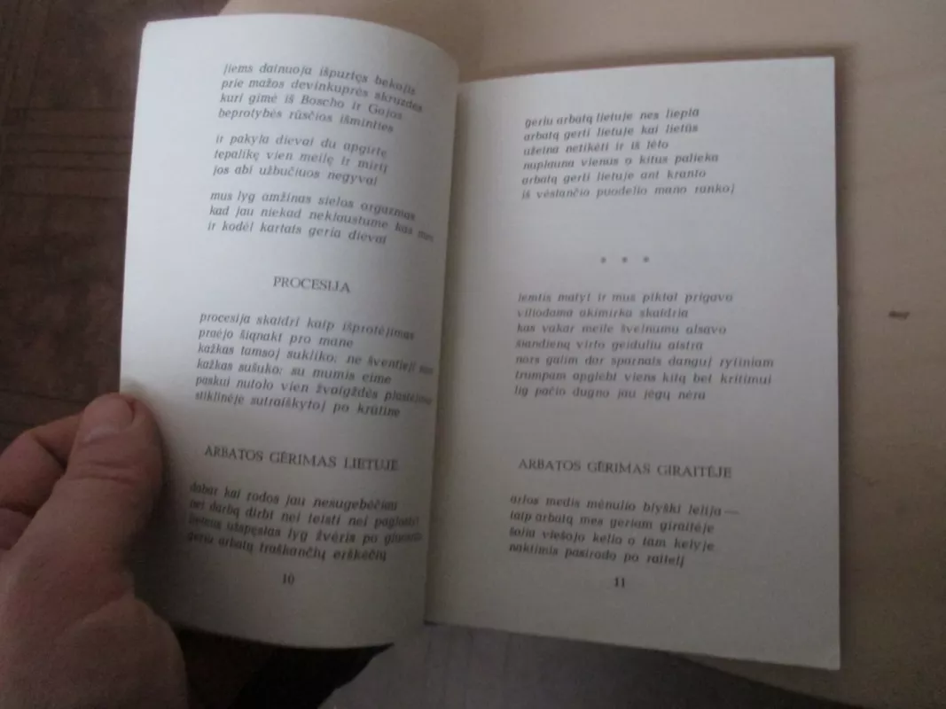 Lapkritis veidrodyje - Donaldas Kajokas, knyga 6