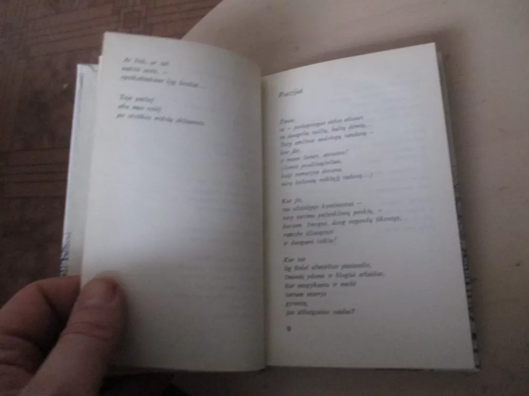 Vėjo vynas - Vacys Reimeris, knyga 6