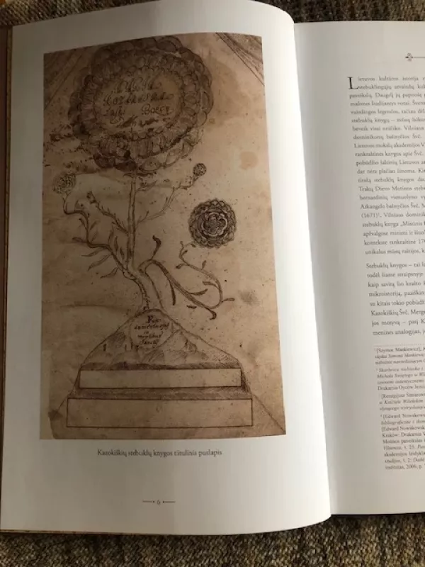 Kazokiškių Marija – Dievo Malonės pilnoji - Tojana Račiūnaitė, knyga 3