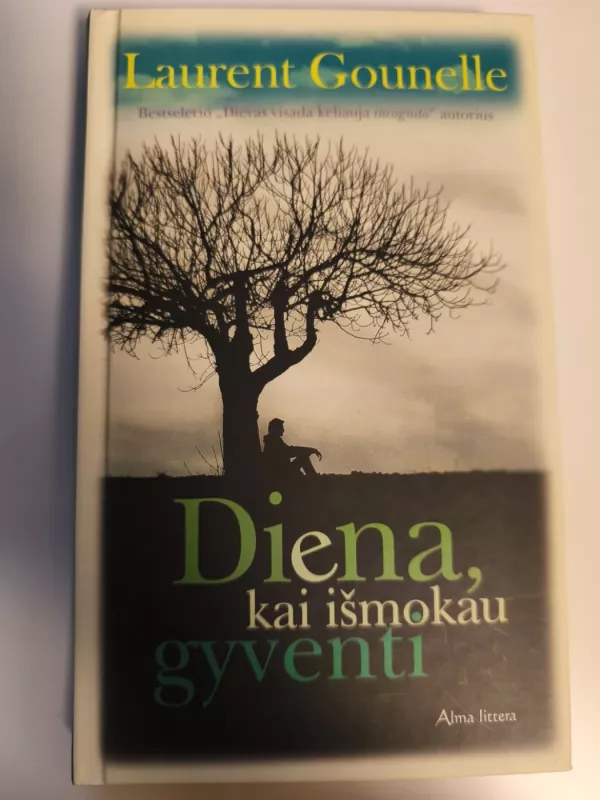 Diena kai išmokau gyventi - Laurent Gounelle, knyga 2