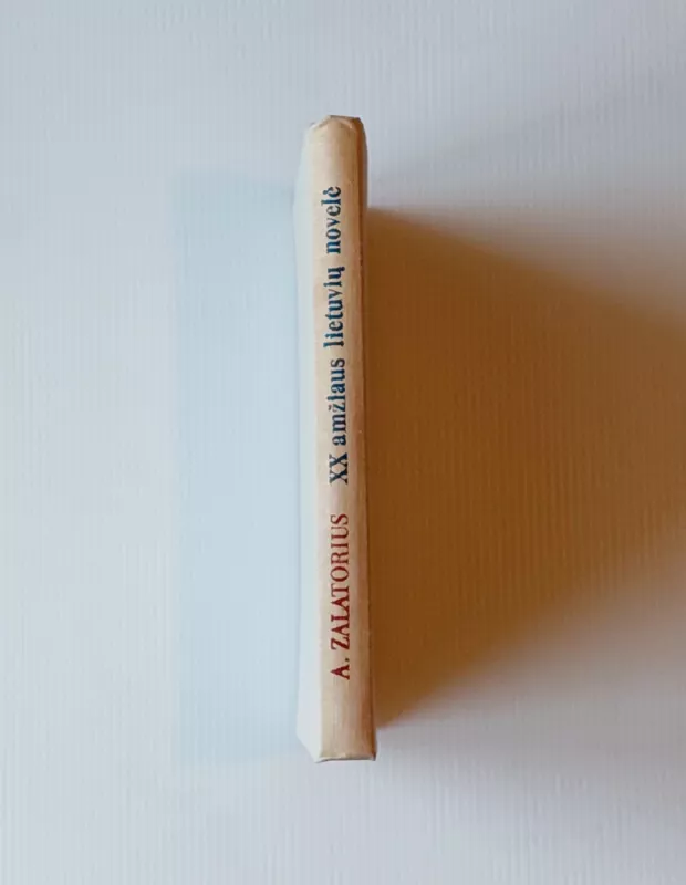 XX amžiaus lietuvių novelė (iki 1940 m.) - Albertas Zalatorius, knyga 4