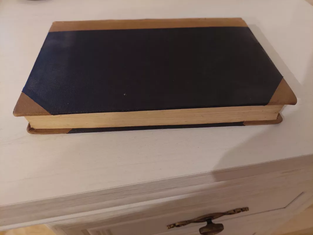 Lehrbuch der allgemeinen Psychologie - Jos. Geyser, knyga 4