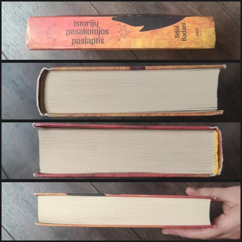 Istorijų pasakotojos paslaptis - Sejal Badani, knyga 3